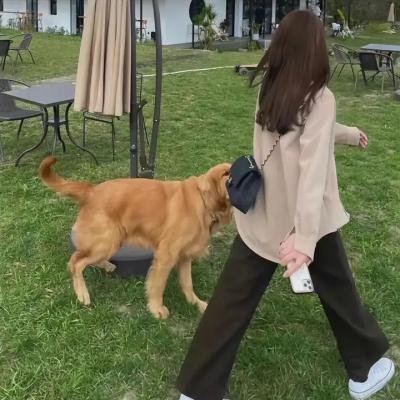 寻觅